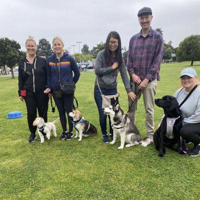 Intermediate group dog training class!