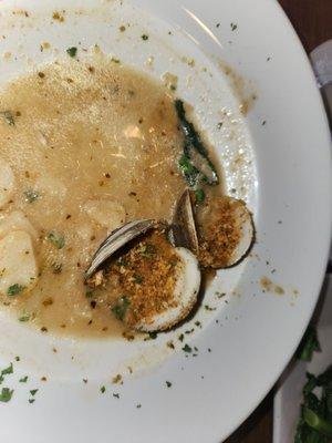 Clams oreganata. Good stuff. Nice and garlicky with fresh parsley.