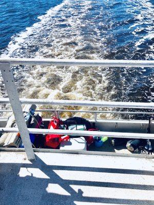 Cumberland Island National Seashore -- ferry from St. Marys is approx 45min ride