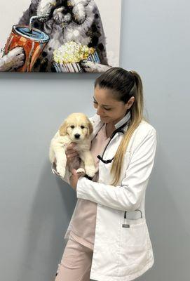 Boca Veterinary Clinic