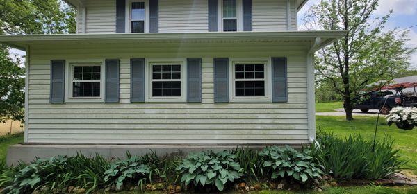 Algae removal. House wash