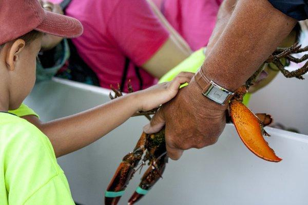 Pre-k Maine Lobster Boat Field Trip