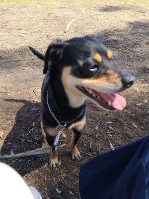 Leila loves this park.