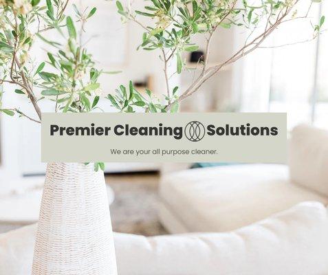 Premier Cleaning Solutions