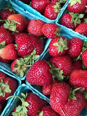 Local strawberries fresh from the farm: nature's candy.