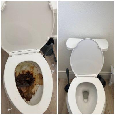 Toilet cleaning