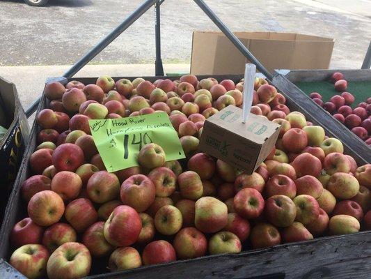 Justy's honey crisp apples are so sweet and juicy, his customers (like me) can't get enough of them.