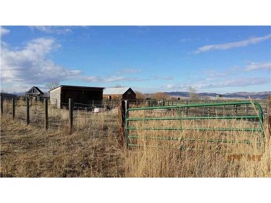 500 Madison Rd. Thirty acres,shop,fenced for horses.