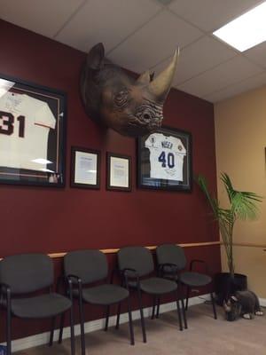 Lol giant rhino head hanging in the waiting room..