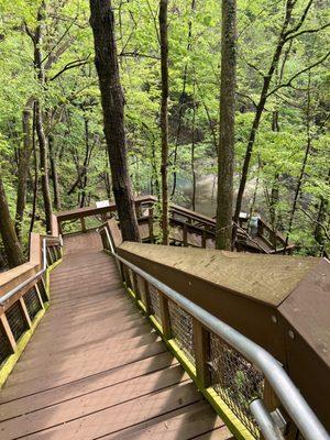 Devil's Millhopper State Geological Site