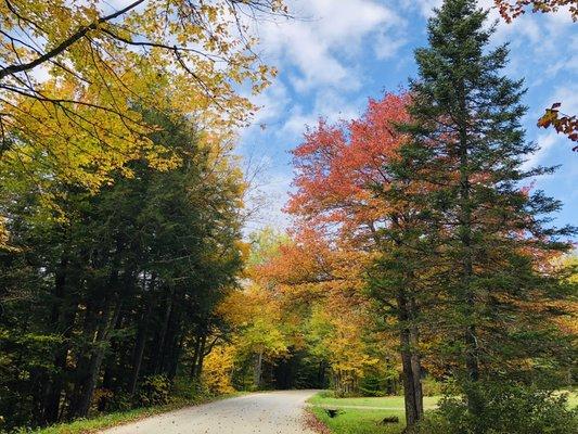 Foliage tour @ Vermont