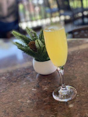 Mimosa