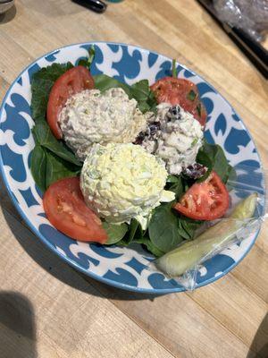 Salad Sampler- chicken salad, eggs salad, and tuna salad, on a bed of greens with tomato