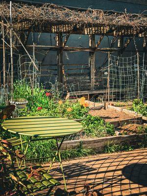 Brooklyn Bear's Community Gardens