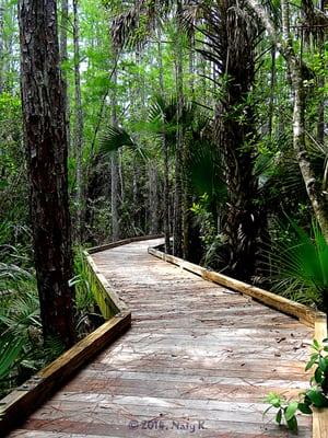 Boardwalks can be found on parts of the trail.