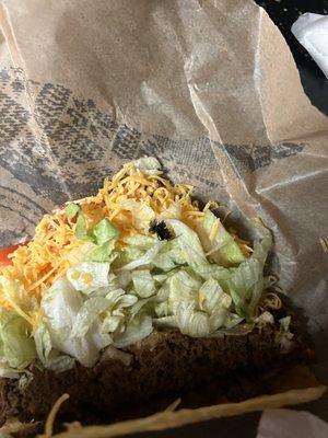 black roach in the taco. literally was found in the lettuce.