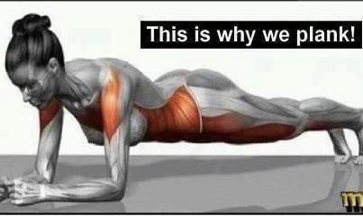 We will teach you how to build your core.