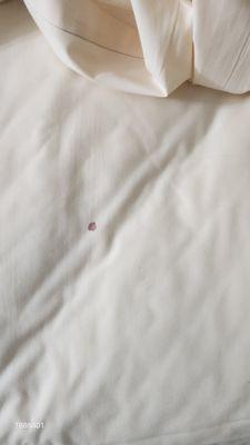 Dry blood in sheets