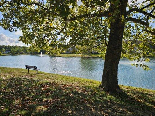 Pond View