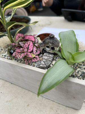 My fairy garden made at Sunnyside Nursery class