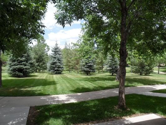 Looking out from the patio!