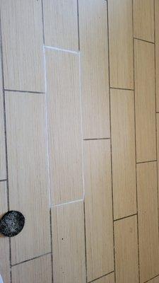 Color seal on porcelain tile grout