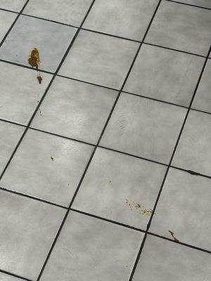 More poop on floor