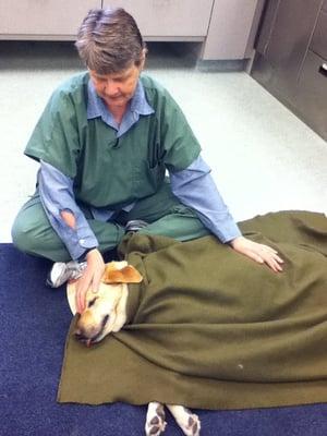 Susan, a long-time volunteer, provides hands-on recovery care for a patient following an anesthetic procedure.