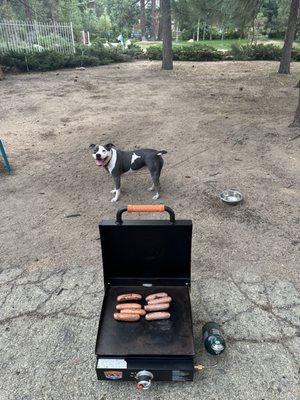 Brought our griddle top and pup for a nice week in Tahoe . The open area is nice .