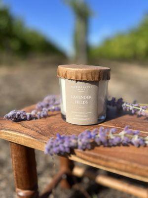 Escape to a serene lavender field with our Lavender Fields candle. A calming blend of white sage and lavender.