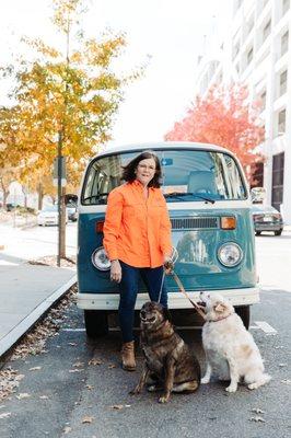 Lifestyle - groovin - bluebird - Bear & Suny - #1974T2VWBus