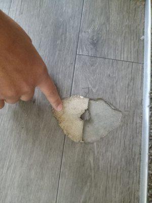 Mold under the flooring