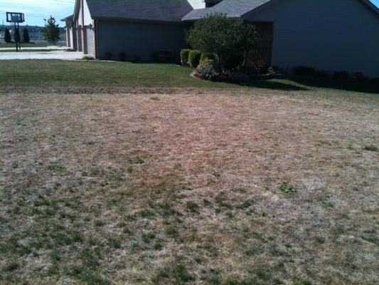 Drought damage-before seeding