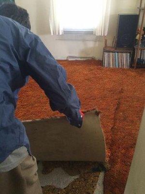 Crimmins Carpet Services