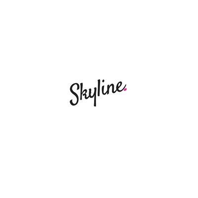 Skyline Accounting Group, Inc. Logo