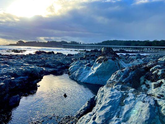 The pier in the distance looking back from the tide pools during the very low king tide (Jan 2024)