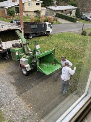 Urban Arborist