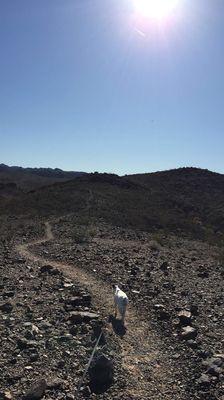 Dirt path to lead the way