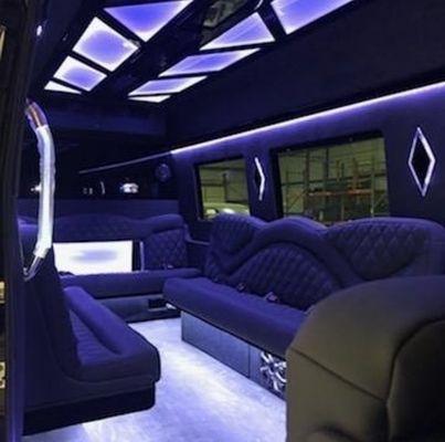 Synergy Limousine