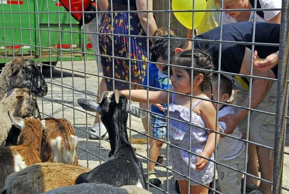 Petting Zoo at The Cradle's annual open house.