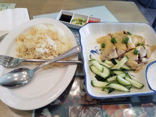 Hainan Chicken Rice (advertised on window) and order of dumplings.