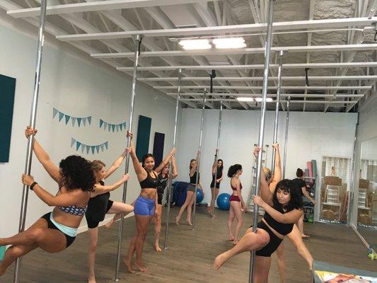 Beginner Pole Class