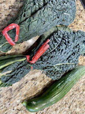 Fresh Kale and a cucumber