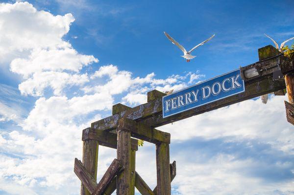 Why not try a SF Ferry ride?...