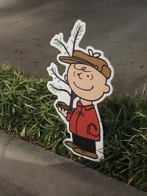 Christmas time is here - Let's celebrate the birth of Christ with a Charlie Brown Christmas Tree.