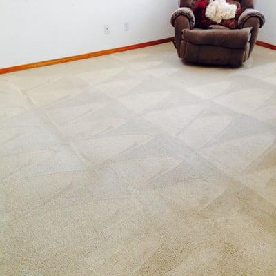 Living room. Carpet looks great!