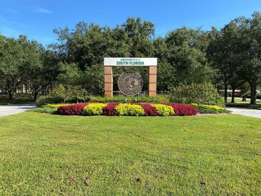 College Landscaping