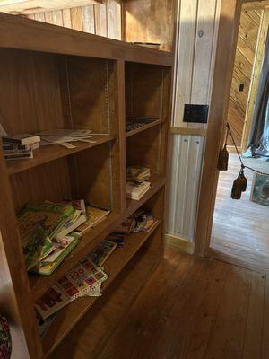 Bookcase with books