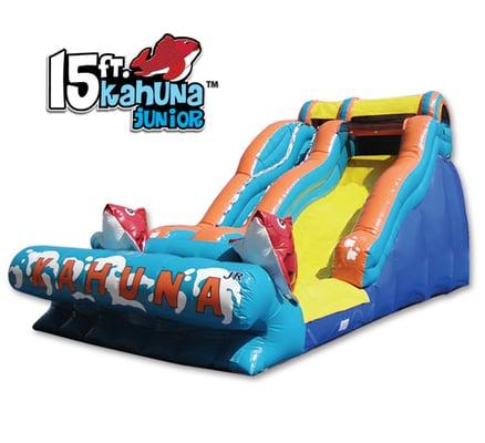 15' wet dry slide