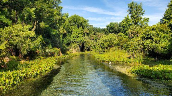 Kelly Park Rock Springs